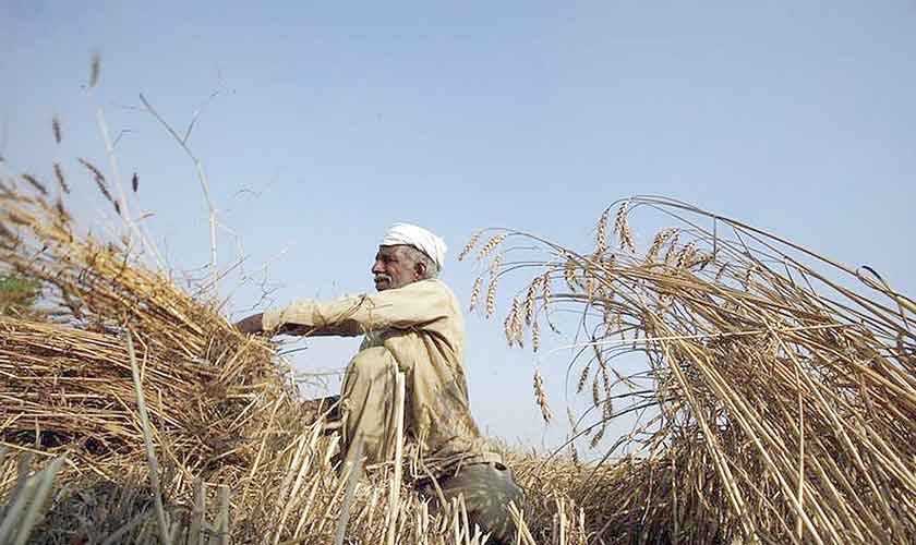 Food (in)security with changing weather