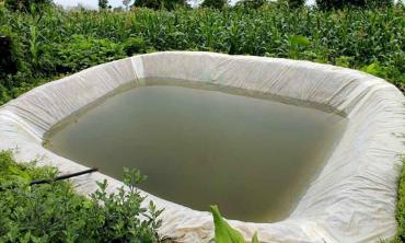 Rainwater harvesting: the way forward