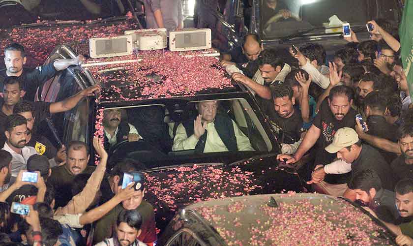 Welcome to the jungle