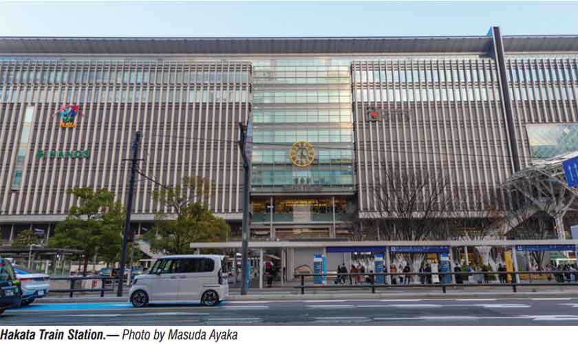 In the land of cherry blossom