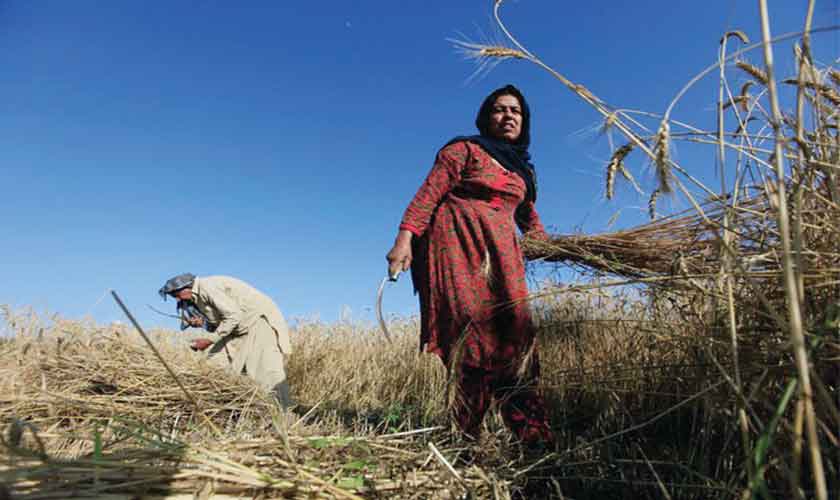 Priorities in agriculture