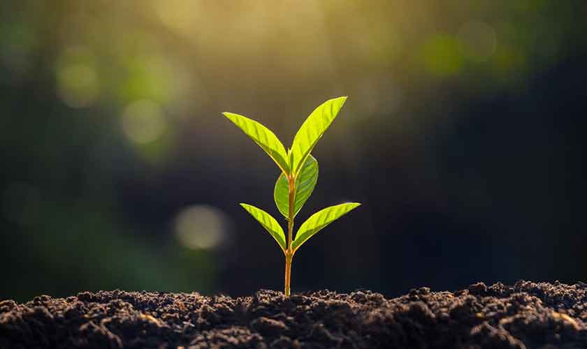 Spring-ing into  climate action