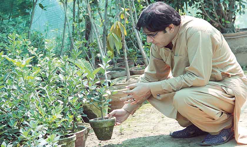 Climate change in Pashto tappas