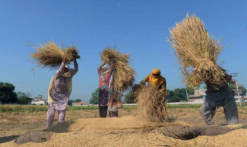 Child marriages perpetuate poverty