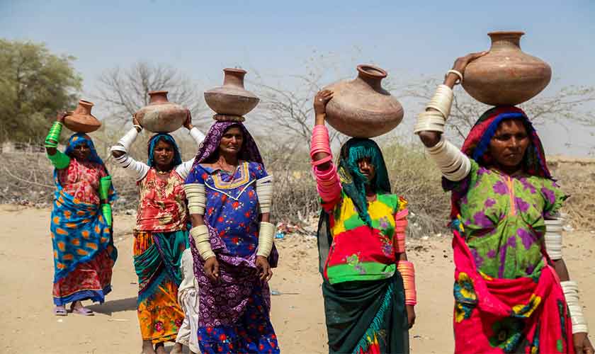 Marvis of contemporary Thar