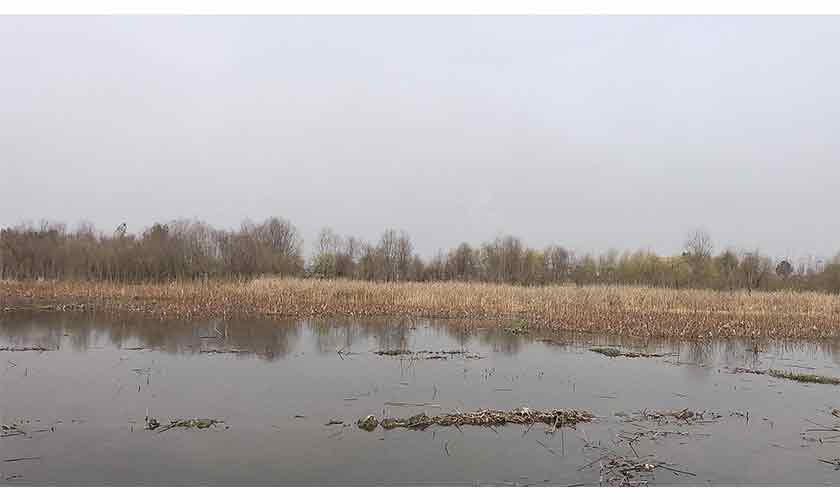 Vanishing wetlands