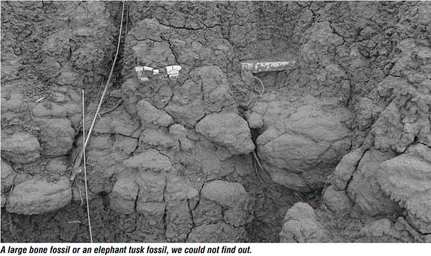 In pursuit of  timeless treasures