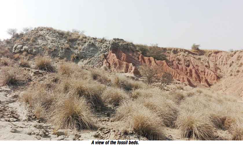 In pursuit of  timeless treasures