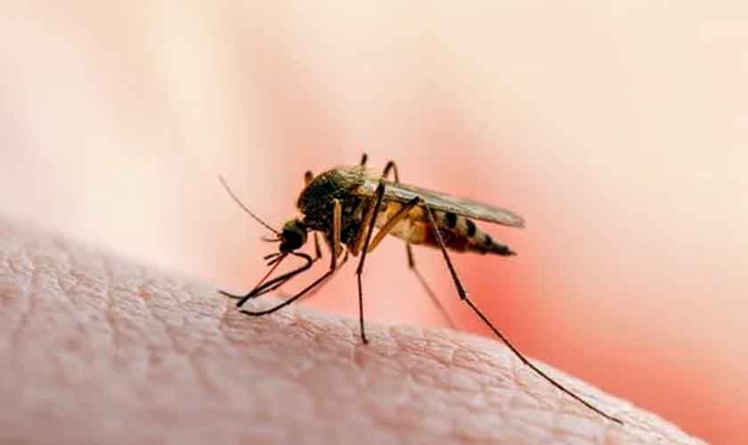 Malaria prevention and control