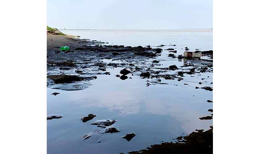 Biodiversity at risk