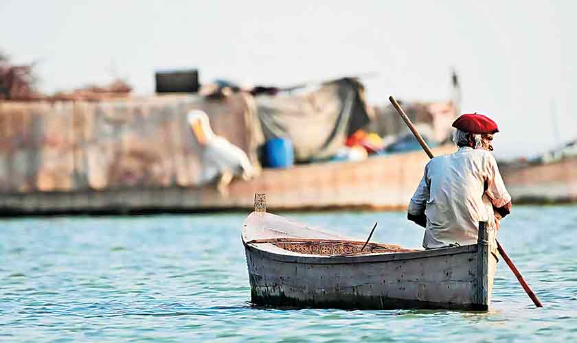 Voices from the Roof of the World (VRW) new season will focus on overlooked environmental issues