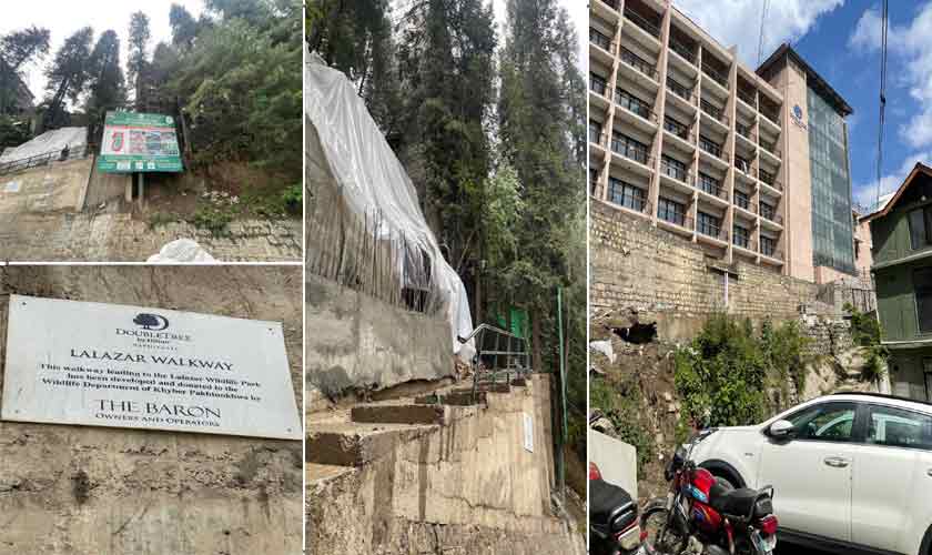 Women and ecological warfare