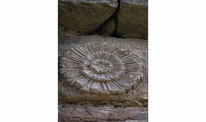 A floral pattern carved on a stand stone inside Hathi (Elephant) Gate of Pharwala Fort in Kahuta.