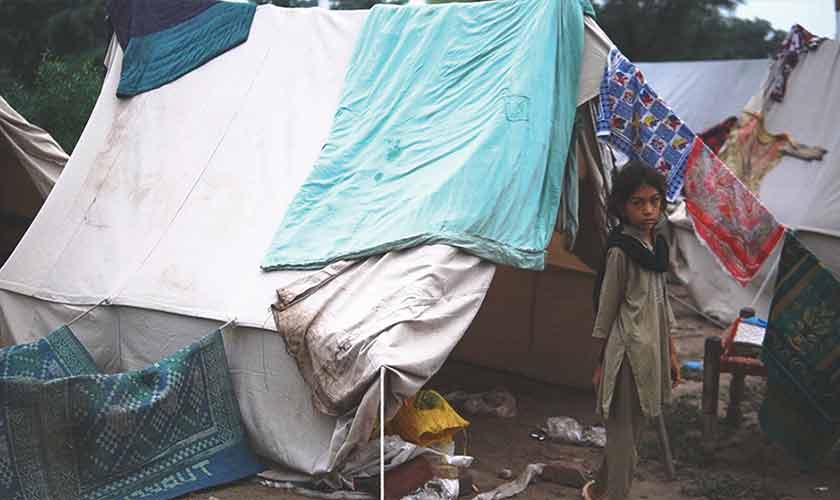 Another year,  another misery