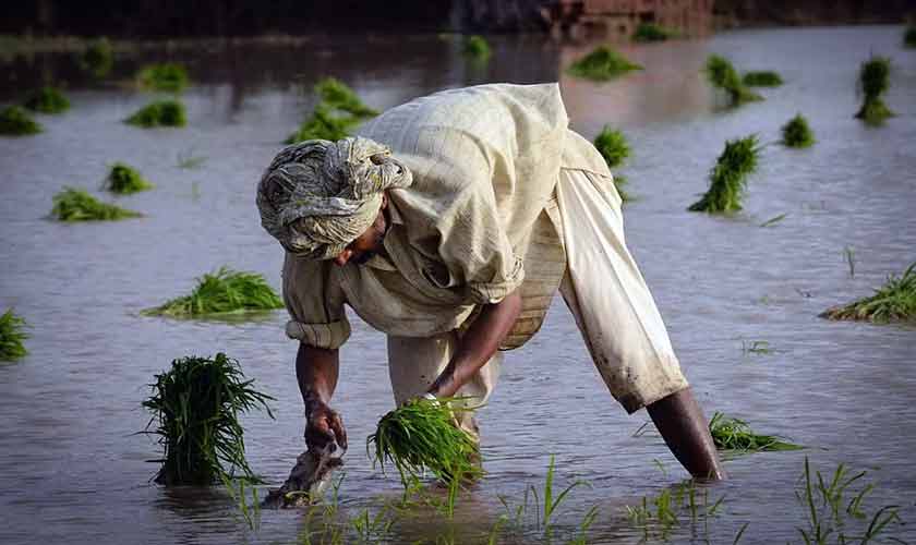 When climate turns against lives, livelihoods