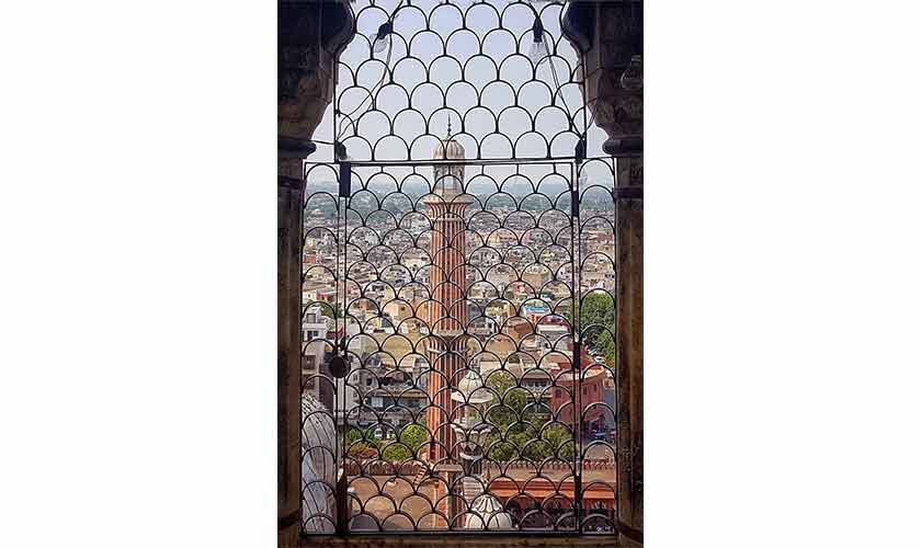View of the city from the viewing gallery of one of Jama Masjids minarets.