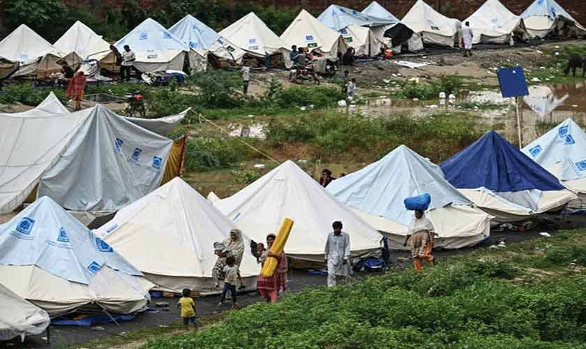 Human cost of a broken system