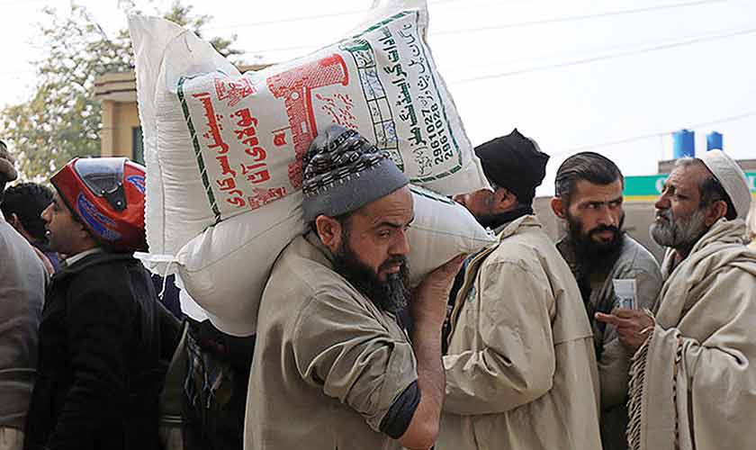 Schrödinger’s wheat