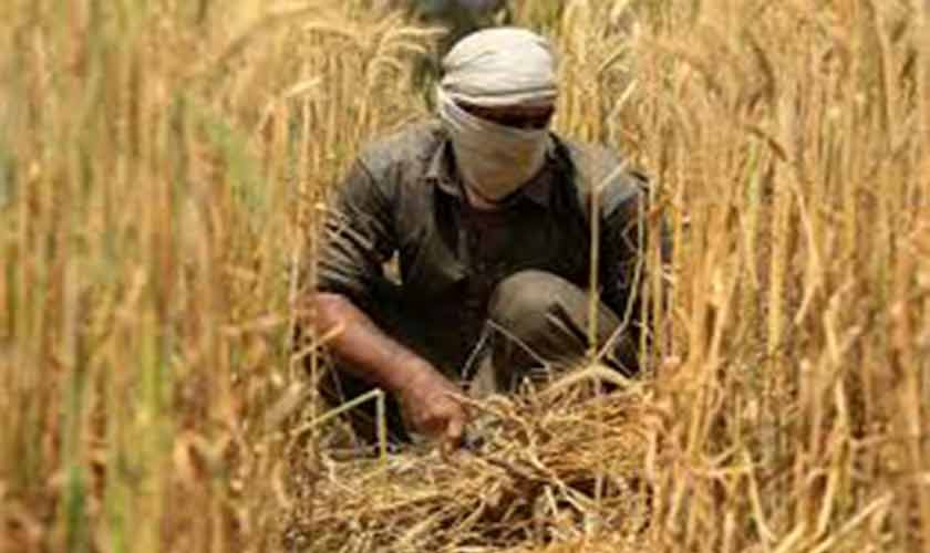 Moving away from manual agriculture