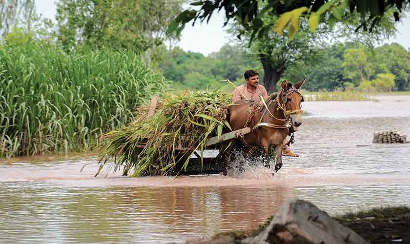 An opportunity for resilience