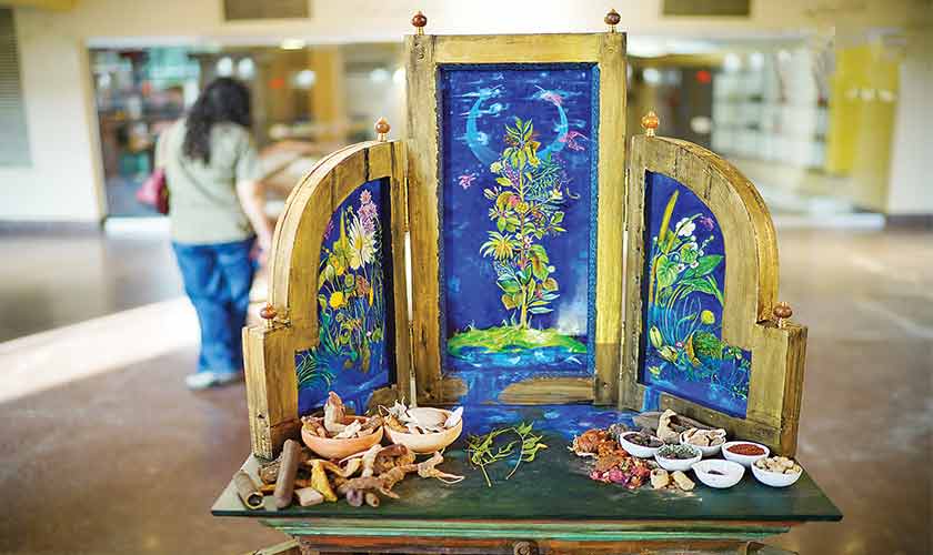 Between languages and ladders