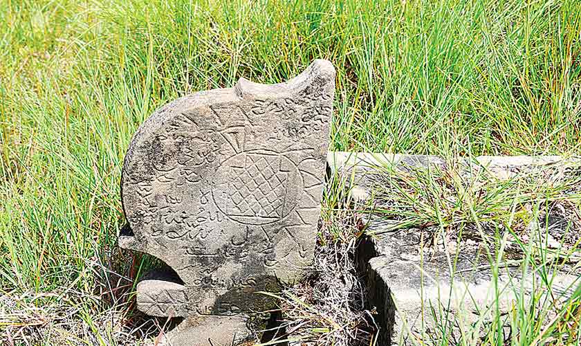Ewer and prayer rug motif on tombstone in the graveyard of Khawaja Muhammad Namdar Shah.
