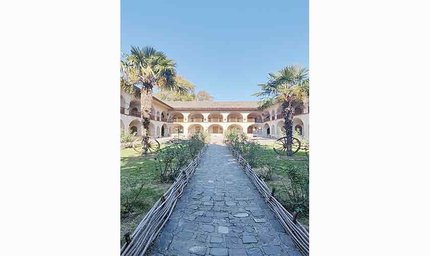 Speed, tea and unexpected  brotherhood