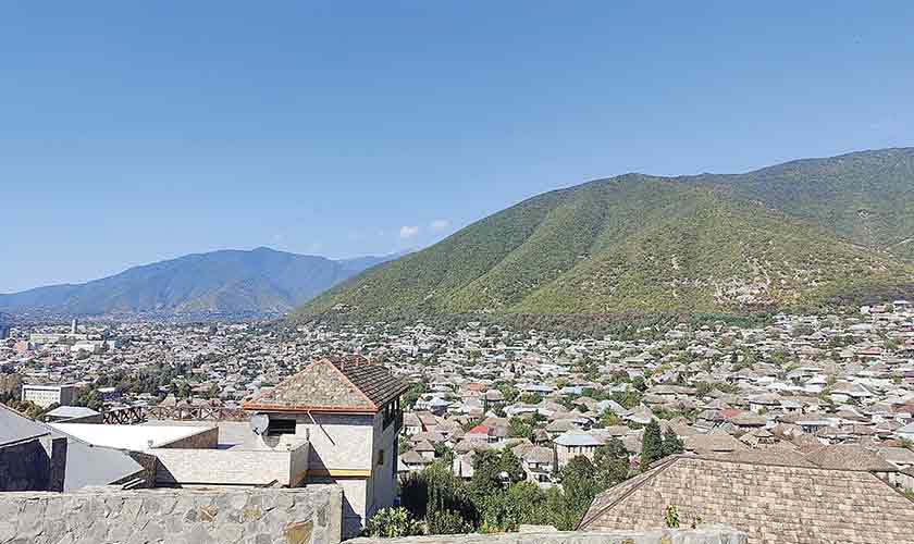 Speed, tea and unexpected  brotherhood