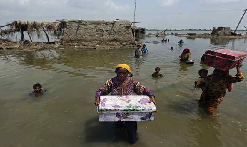 Bringing down the fences