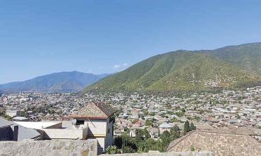 Speed, tea and unexpected  brotherhood