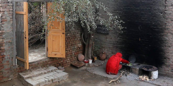 Bairi tree in the courtyard of Bhagat Singh’s house.
