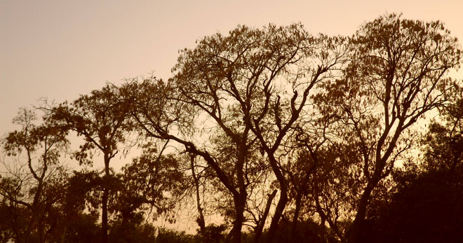 Land of thorny trees Khip Babbur.