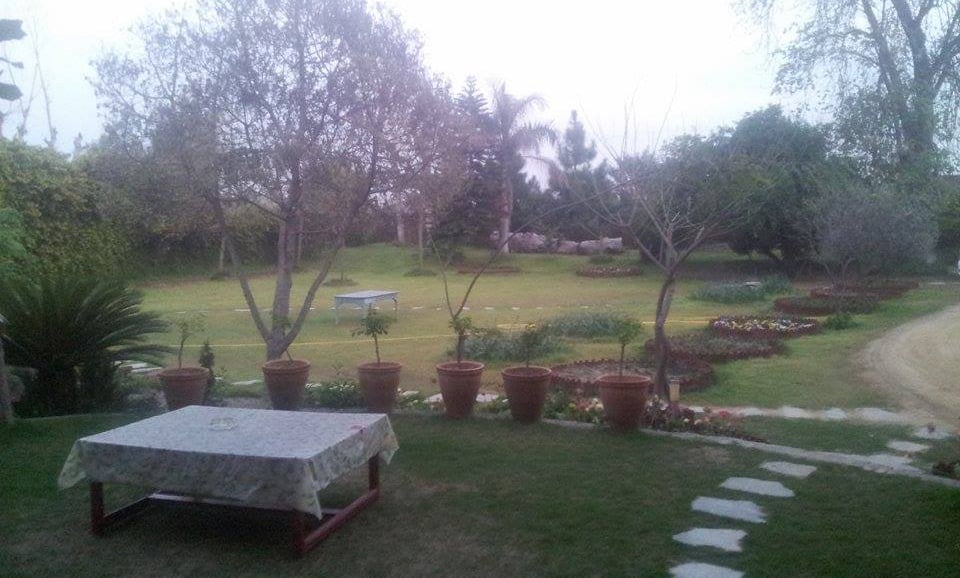 Magical Garden of Ghani Khan's house