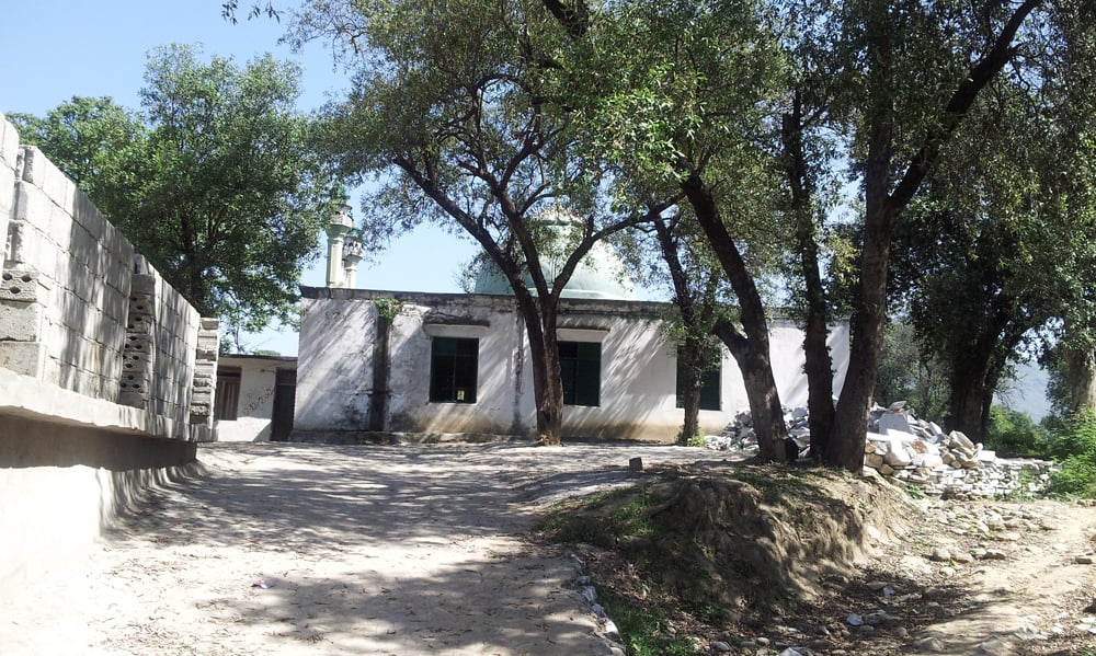 The shrine of Diwana Baba amid the olive grove.