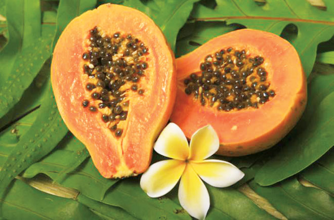 Papaya