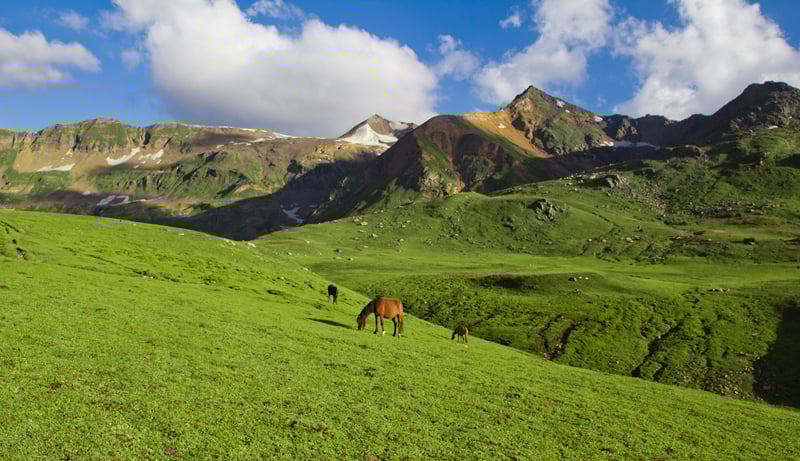 tumblr_m9vu06l9Vi1qly3l3o1_1280