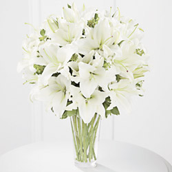 White-lillies