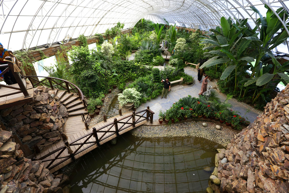 PHA is looking to hire an international consultant to learn how to make the place even more beautiful.