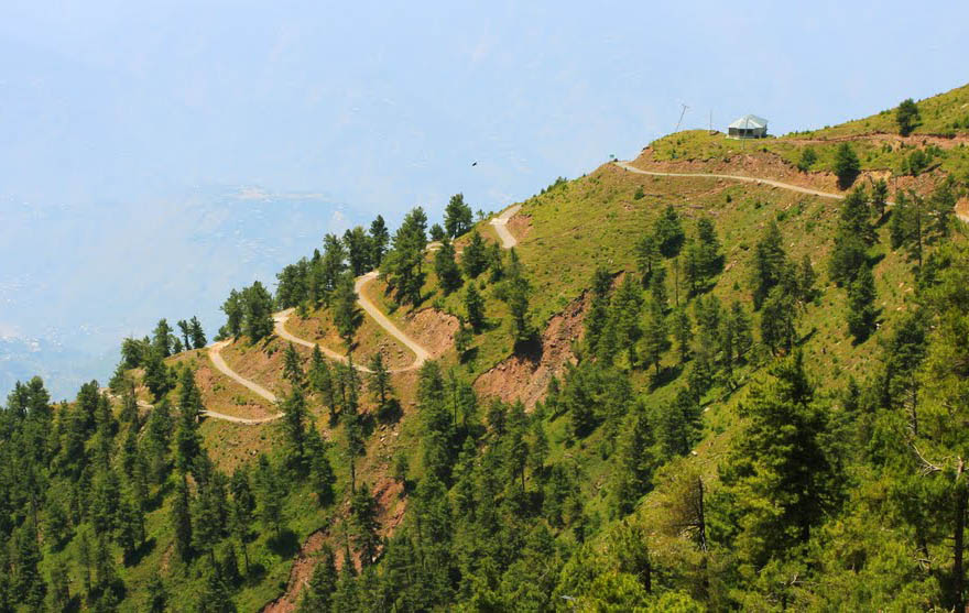 The zig-zagging access track near the top.