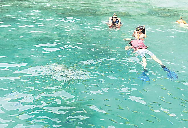 Snorkeling is one of the biggest attractions of the island hop.