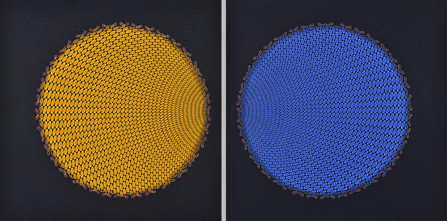 Two Wings to Fly, Not One -- Aisha Khalid.