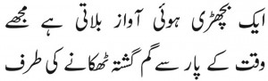 Nasir Abbas Urdu bw copy