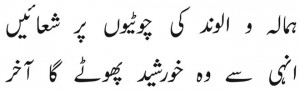 Nasir Abbas Urdu5