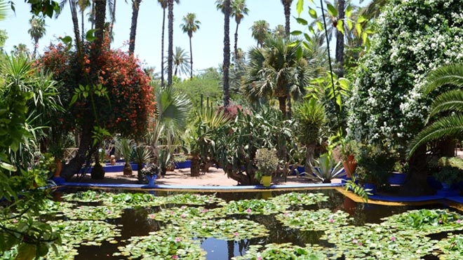 Feature image temp - Copy