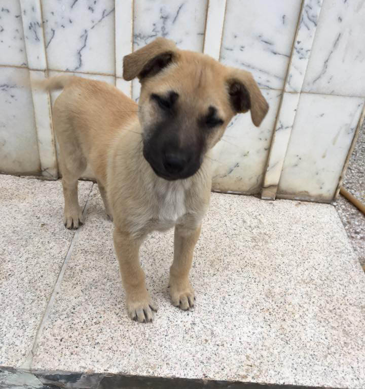 20663659_10155457353861291_7893594027148976153_n