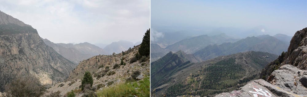 Looking north from the western skirts of Takht ridge, at 8,300 feet. copy