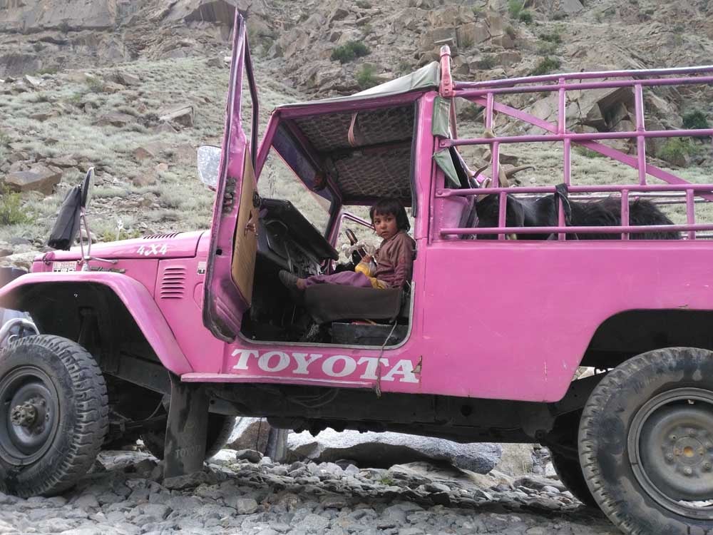 Pink Truck 1