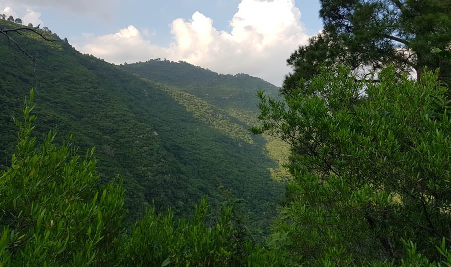2 A view of  Margalla Hills from Trail-3