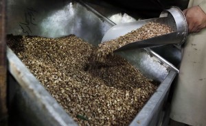 PFA has declared chhaliya as harmful for human health. 