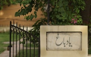 Free plant saplings were brought in from Bagh-e-Jinnah for lack of resources.